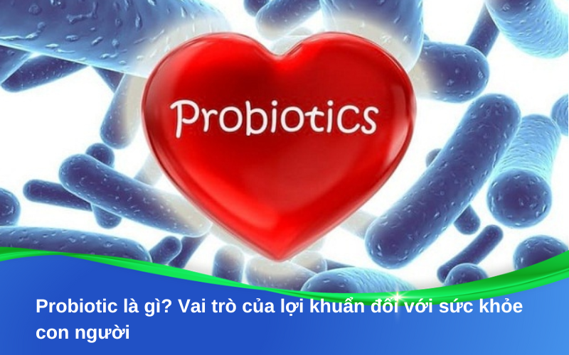 Probiotic là gì? Vai trò của lợi khuẩn đối với sức khỏe con người