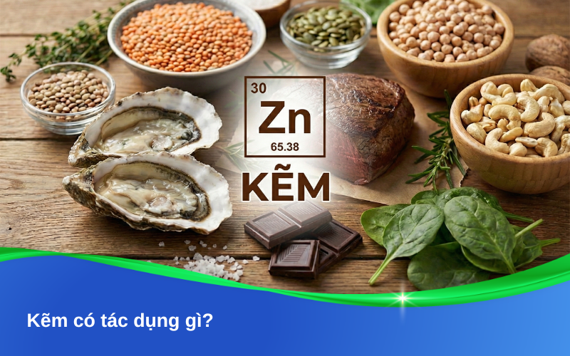 Kẽm có tác dụng gì? Vai trò quan trọng của kẽm đối với sức khỏe con người